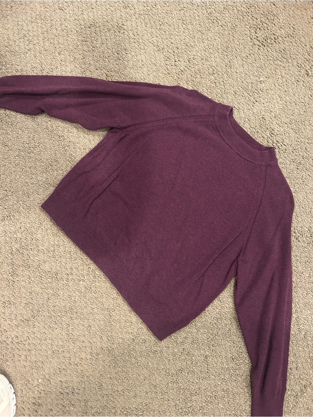 a new day Plum Crewneck Sweatshirt
